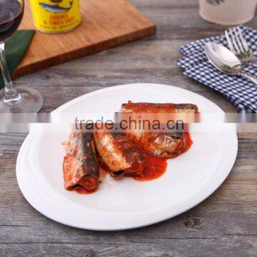 Canned Sardine Fish photo-3