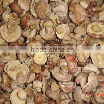 High Quality Frozen IQF Small Oyster Mushroom photo-4