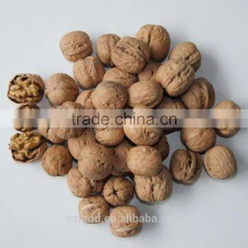 Shanxi Best Popular Fenyan Mayifang Large Crumbs Kertnel,walnut kernel,raw walnut meat,