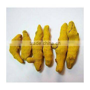 Turmeric Finger