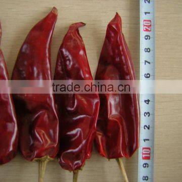 Sun Dry Hot Red Yidu Chilli/chile Costeno