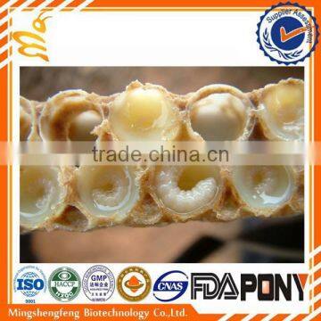 Fresh Royal Jelly Good for Health Care photo-4