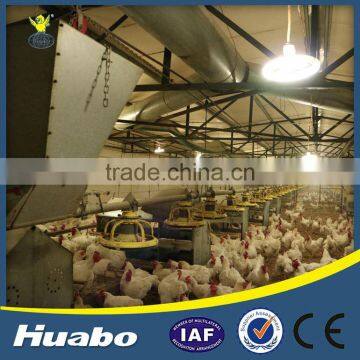 Automatic Poultry Farm Feeder Male Breeder Pan Feeding System