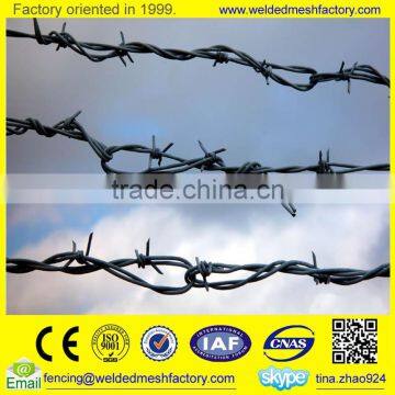 Hot dipped galvanized barbed wire Sale