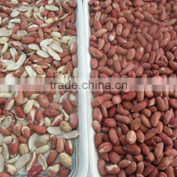 Best Price Cereal CCD Color Sorter in China Manufacture photo-3