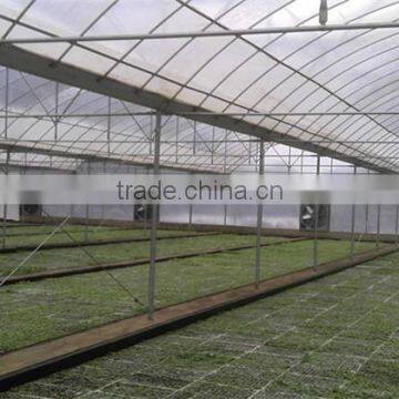 Baolida Cheap Vegetables Tunnel Greenhouse photo-2