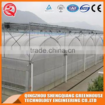 China direct plastic greenhouse for plant tomato and flowers