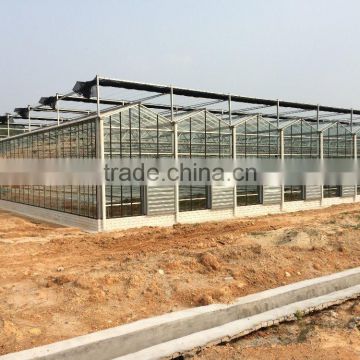 The sunlight greenhouse glass for sale