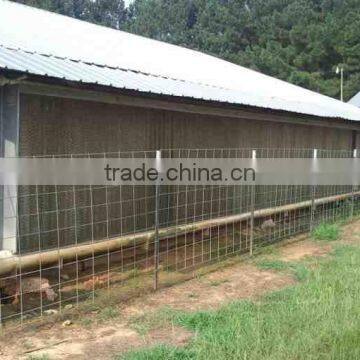 Automatic Chicken Farm for Broiler