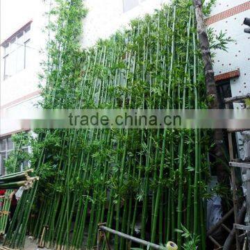 CHY030815 Artificial Bamboo/lucky Bamboo/fake Bamboo Poles
