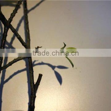 Home Garden Decoration 70cm Hight Yellow Cornus Chrysanthemum Wedding Flower EHMF03 0401 photo-3