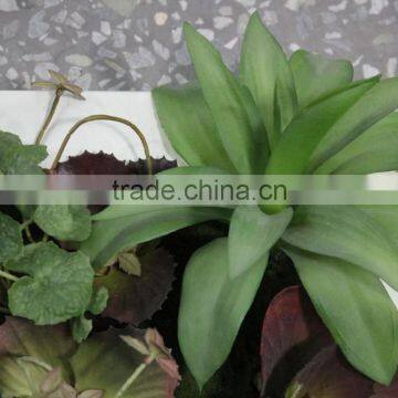 Durable and High Destiny Vertical Green Wall System Fake Plant Wall photo-5