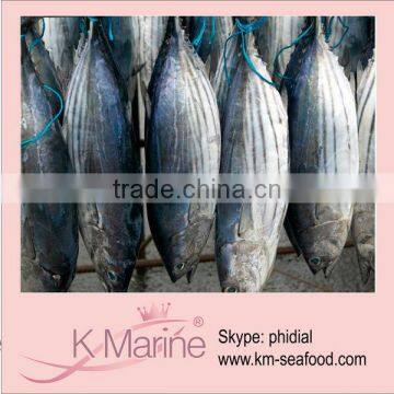 2014 Low Skipjack Tuna Price lot number#kmw4025