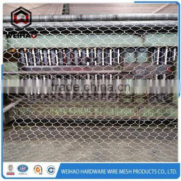 2016 China Galvanized Hexagonal Wire Mesh photo-2