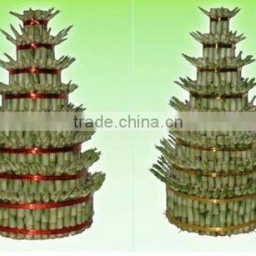 Lucky bamboo ( Dracaena Sanderiana) tower shape