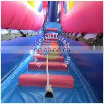 2017 Aier Nice and Cheap Giant Inflatable Slide for Sale/Princess Themed Inflatable Pool Slide/slide Inflatable photo-5
