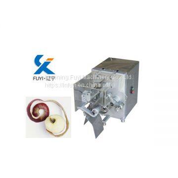 commercial apple peeler equipment