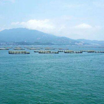 Aqua Cage Fisheries Floating Fish Cage Anti-oxidant