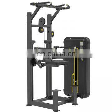 Dhz Fitness Hot Sale Strength Training Exercise Equipment For Dip Assist