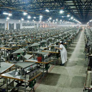 Shijiazhuang Daoya Trading Co., Ltd. company overview - view 2