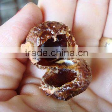 Superior Grade Soapnut Shell For OEM Manufacturing photo-2