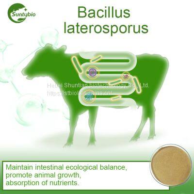 Bacillus Laterosporus photo-3