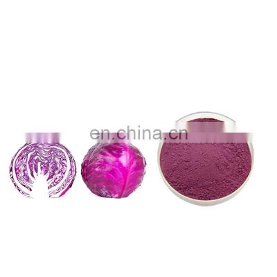 Fruit and Vegetable Powder Purple cabbage powder 99% purple cabbage fruit and vegetable powder