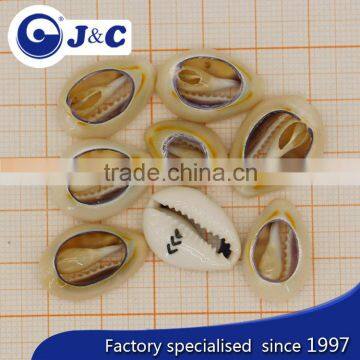 2015 Fashion OEM Cowries Shell Button photo-2
