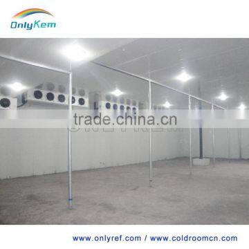 Cold Storage Deep Freezer for Seafood, Green House Mobile Freezer Prices photo-2