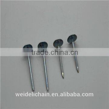 Galvanized Roofing Nails/ Umbrella Roofing Nails photo-6