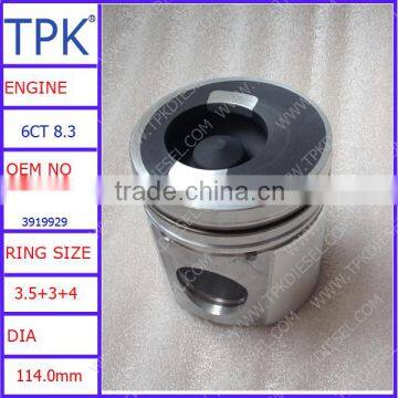 6CT PISTON KIT 3919566 3919929 3802280