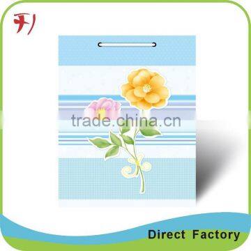 Gift Bag with good printing service