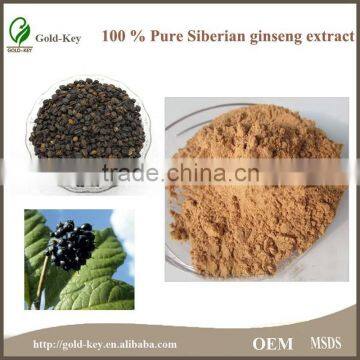 Natural Herb Siberian Ginseng Extract Powder Quality Choice photo-2