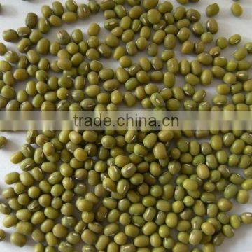 good green mung bean