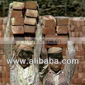 Unskilled Labor Construction from Bangladesh