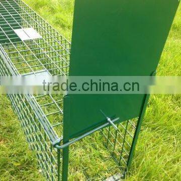 galvanized wire Material and quail Use quail cages for sale