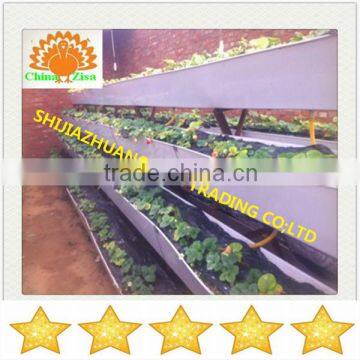 soilless cultivation tray