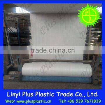 Good Quality PP Spunbond Non Woven Fabric Rolls photo-6
