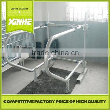 Grade one factory Single Type Free Stall Cow