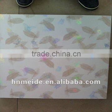 Decorative Acrylic Wall False Ceiling Panel