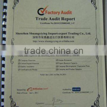 factory audit report