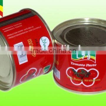 70G High Quality Manufactory Brix 28-30% Canned Tomato Paste