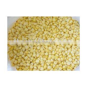 New Crop Frozen sweet corn