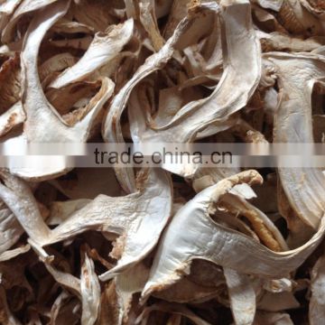 Hot Selling Low Price Dried Boletus Edulis