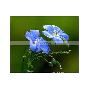 Mutil-founction Plant Flax Seed Oil Good for Health&skin photo-2