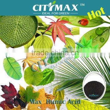 Bulk Humic Acid Powder