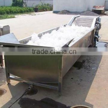 WANDA hot seller fruit washing machine