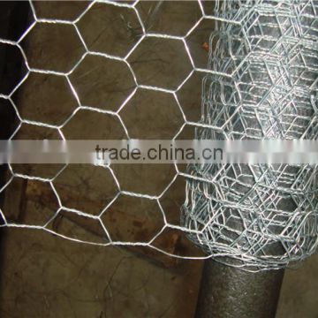 Hexagonal chicken wire mesh