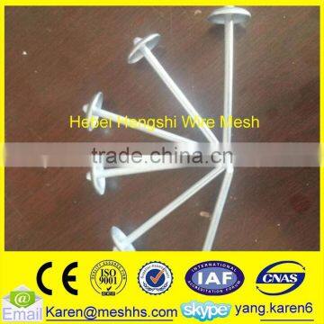 cheap hot sale hot dip galvanized roofing nails In China