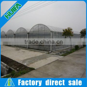 Excellent Large Multi Span Greenhouse